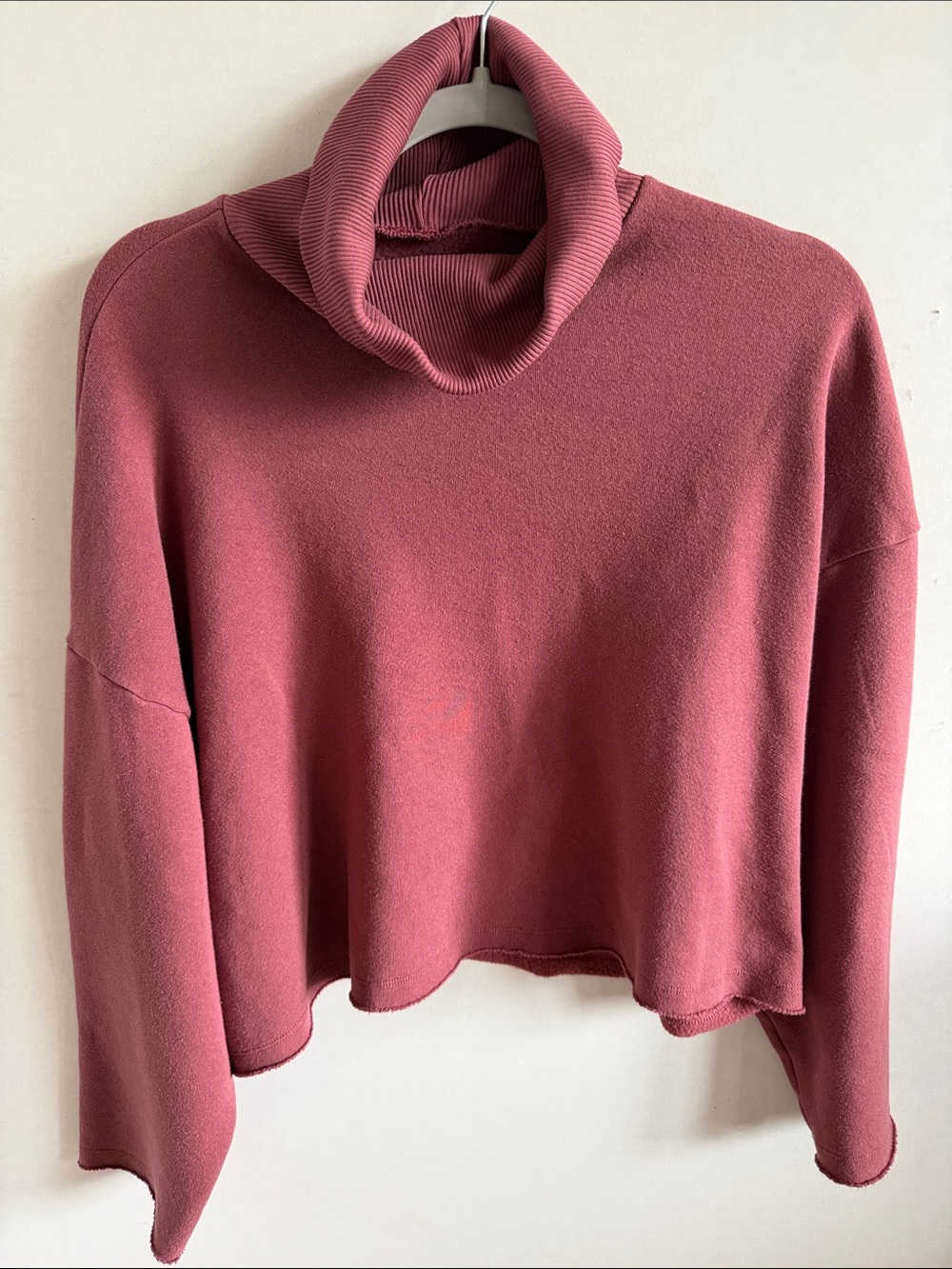American Eagle Outfitters Cropped Turtleneck Sweatshirt in Dusty Rose